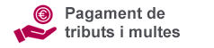 BannerPagamentTributsMultes2